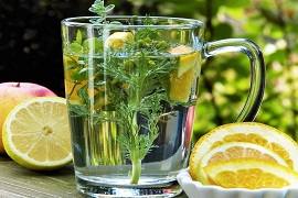 Conseils en naturopathie, médecines naturelles, homéopathie, phytothérapie, huiles essentielles, gemmothérapie, diétologie